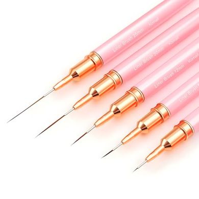 5-Piece Pink Nail Art Liner Brush Set for Fine Detailing
